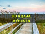 Ovnu se otvaraju brojna vrata, Lav uranja u introspekciju, Škorpija ide smelo napred a sta se desava ostalim znacima