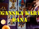 Vaga   :   Zaljubljena Žena  Ova karta je za vas jasan znak ljubavi, strasti i romantike.
