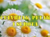 Jarac ♑  : Posao ili finansije dolaze u prvi plan – očekujte jasan znak da idete pravim putem.