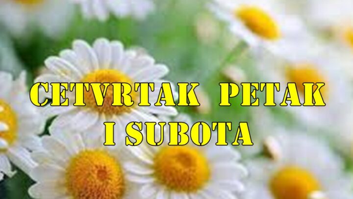 Jarac ♑  : Posao ili finansije dolaze u prvi plan – očekujte jasan znak da idete pravim putem.