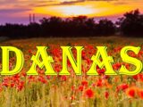 BIK :Danas je idealan dan da se fokusirate na konkretne zadatke, posebno u poslu.