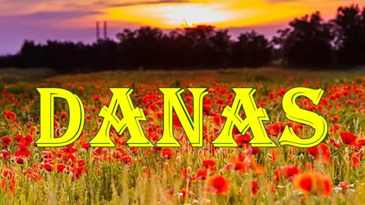 BIK :Danas je idealan dan da se fokusirate na konkretne zadatke, posebno u poslu.