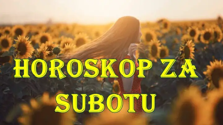 Lav ima problema sa FINANSIJAMA, Jarac ima mnogo razloga za SRECU!