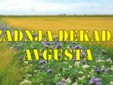Evo detaljne astrološke analize za poslednju dekadu avgusta, od 21. do 31. avgusta, za sve znakove zodijaka.