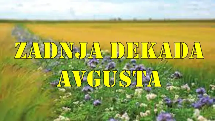 Evo detaljne astrološke analize za poslednju dekadu avgusta, od 21. do 31. avgusta, za sve znakove zodijaka.