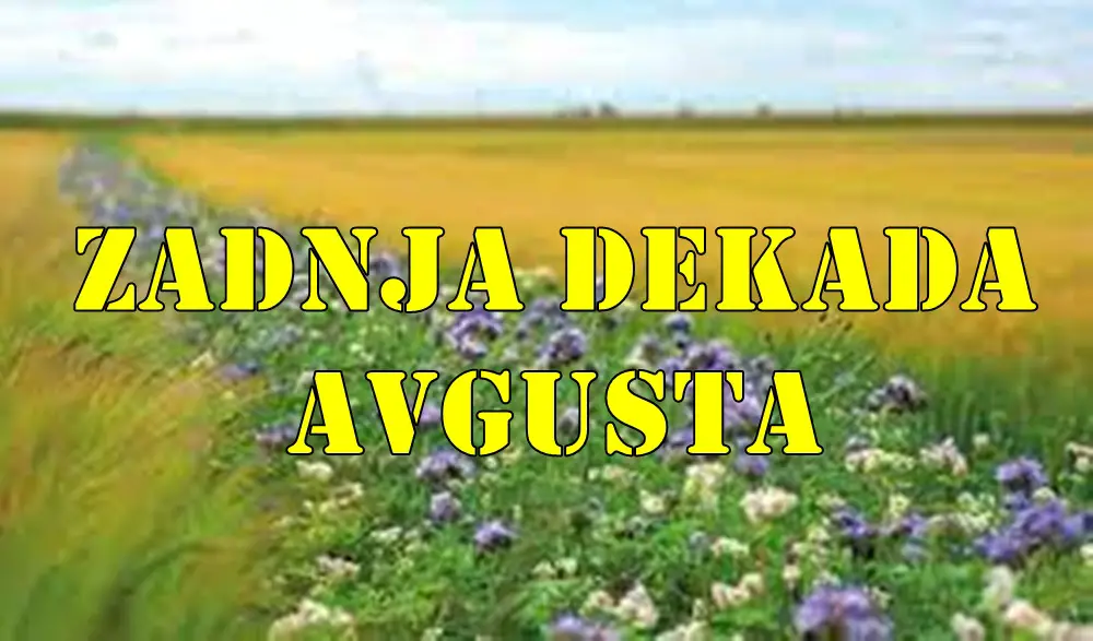 Evo detaljne astrološke analize za poslednju dekadu avgusta, od 21. do 31. avgusta, za sve znakove zodijaka.
