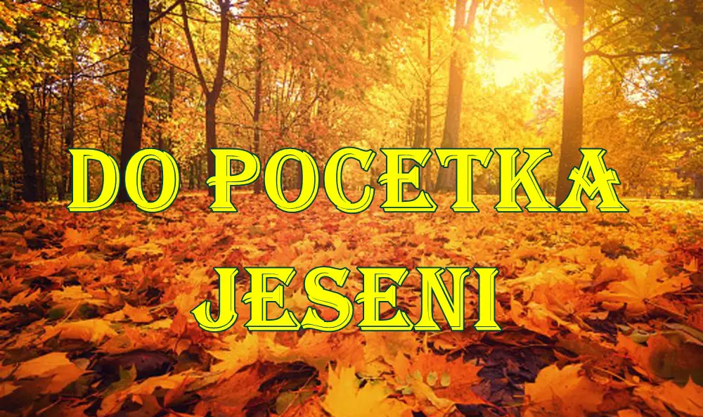 Najsrećniji znakovi zodijaka do početka jeseni 2025. Najsrećniji znakovi zodijaka do početka jeseni 2025.