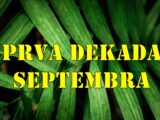 Horoskop za prvu dekadu septembra za sve znake zodijaka.