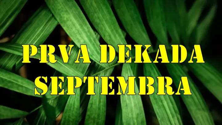 Horoskop za prvu dekadu septembra za sve znake zodijaka.