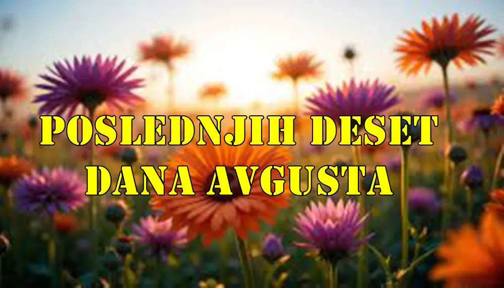 Poslednjih deset dana avgusta donose značajne promene i uticaje za sve horoskopske znakove.