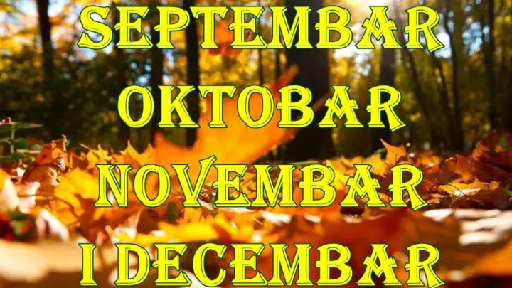 Septembar oktobar novembar i decembar evo sta  vas u ova 4 meseca ocekuje.