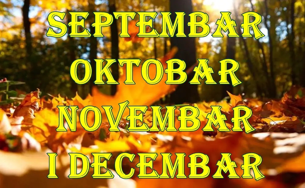 Septembar oktobar novembar i decembar evo sta vas u ova 4 meseca ocekuje. Septembar oktobar novembar i decembar evo sta vas u ova 4 meseca ocekuje.