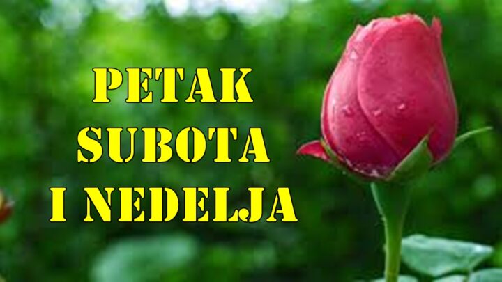 Evo sta su to zvezde pripremile tokom petka subote i nedelje.