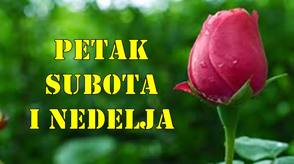 Evo sta su to zvezde pripremile tokom petka subote i nedelje.