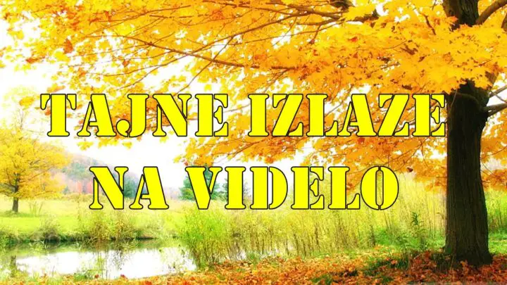 Septembar 2025. je mesec u kojem nema bežanja od istine. Tajne izlaze, maske padaju, karmičke veze se raspliću.