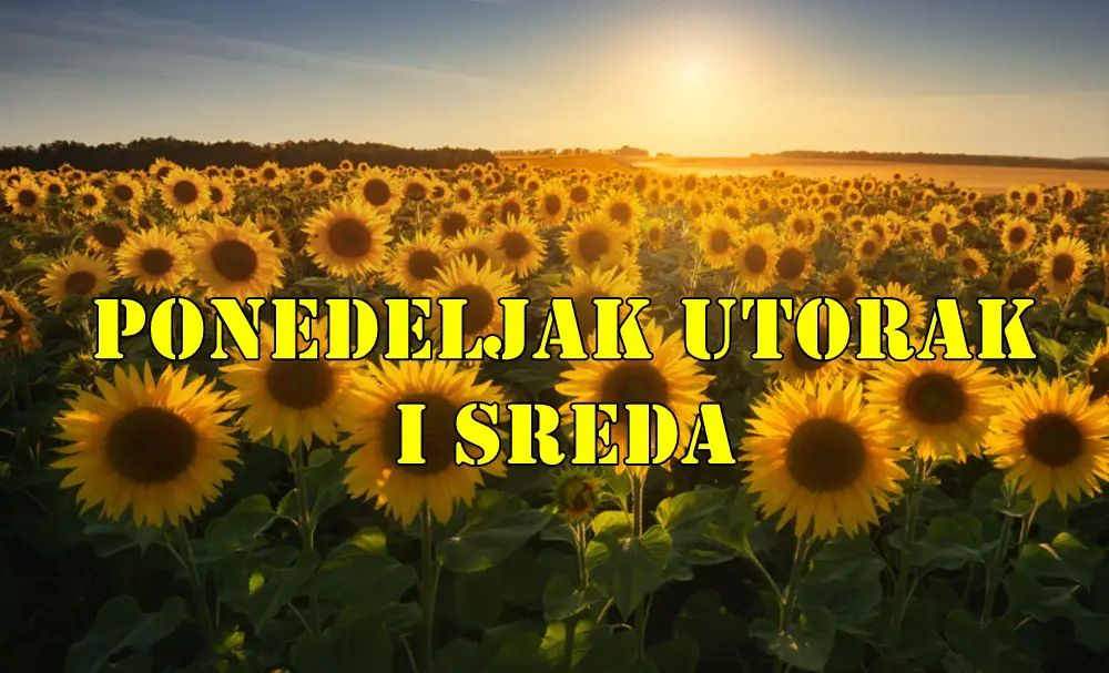 Tri dana istine koju ne mozemo ignorisati su pred nama. Tri dana istine koju ne mozemo ignorisati su pred nama.