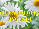 Druga polovina avgusta za neke znake dolazi finacijska stabilnost a za drge dolazi ljubav.