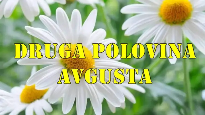 Druga polovina avgusta za neke znake dolazi finacijska stabilnost a za drge dolazi ljubav.