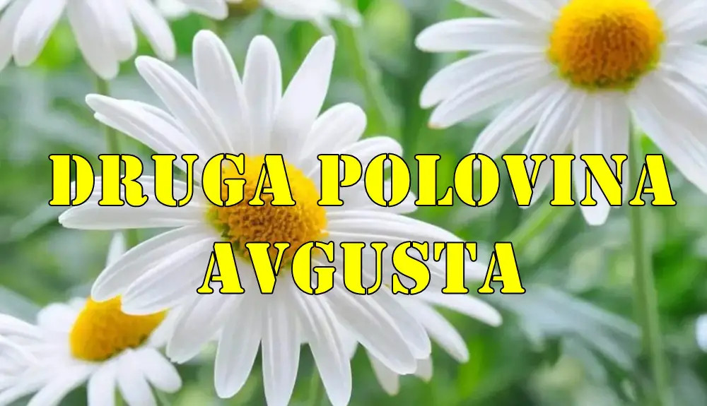 Druga polovina avgusta za neke znake dolazi finacijska stabilnost a za drge dolazi ljubav.