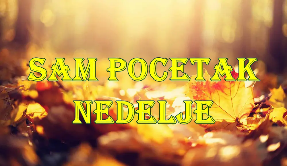 Sam pocetak nedelje za sve znake zodijaka. Sam pocetak nedelje za sve znake zodijaka.