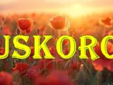 Uskoro :Rak pred velikim promenama, Lav ima ljubavne trzavice, Devica ima zanimljiv dan, Vagi varira raspoloženje, Škorpija pozitivna, Strelac upoznaje nove ljude, Jarac optimističan
