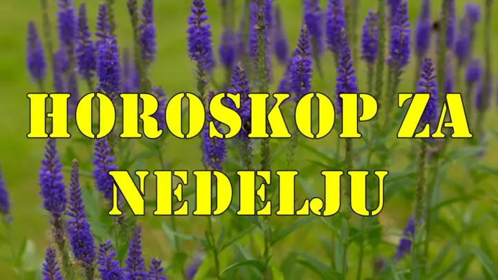 Horoskop za nedelju za sve znake zodijaka.