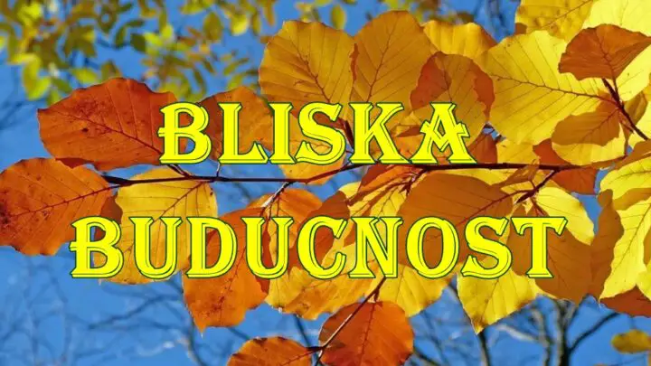 Vage će u bliskoj budućnosti biti društveno aktivne i otvorene za nove kontakte.Dok su Vodolije poslovno, inovativni pristupi donose uspeh.