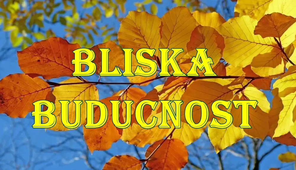 Vage će u bliskoj budućnosti biti društveno aktivne i otvorene za nove kontakte.Dok su Vodolije poslovno, inovativni pristupi donose uspeh.