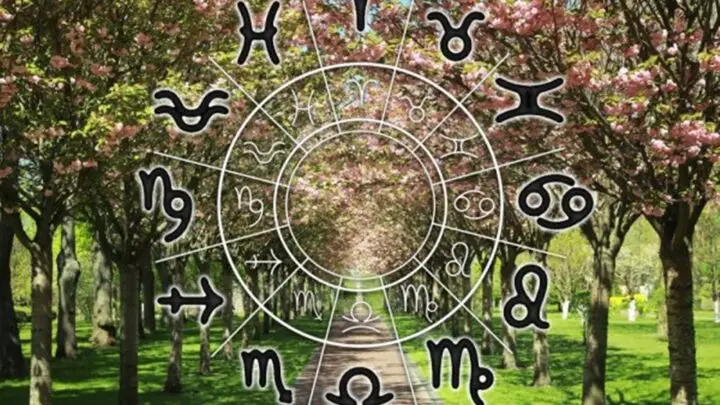 U narednom periodu zvezde posebno podržavaju šest znakova Zodijaka – Ovnove, Bikove, Lavove, Vage, Jarčeve i Ribe
