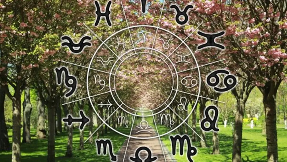 U narednom periodu zvezde posebno podržavaju šest znakova Zodijaka – Ovnove, Bikove, Lavove, Vage, Jarčeve i Ribe