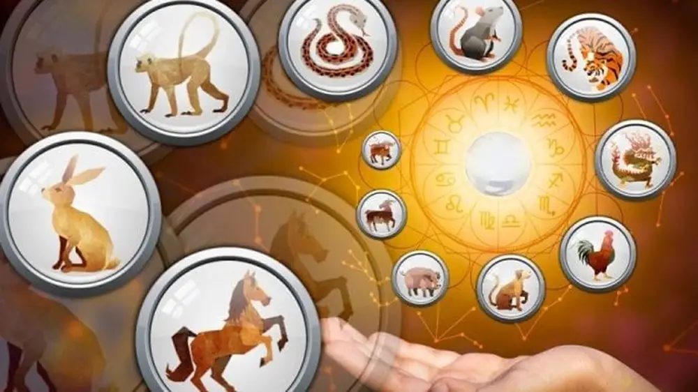Kineski horoskop za jesen za sve znake zodijaka. Kineski horoskop za jesen za sve znake zodijaka.