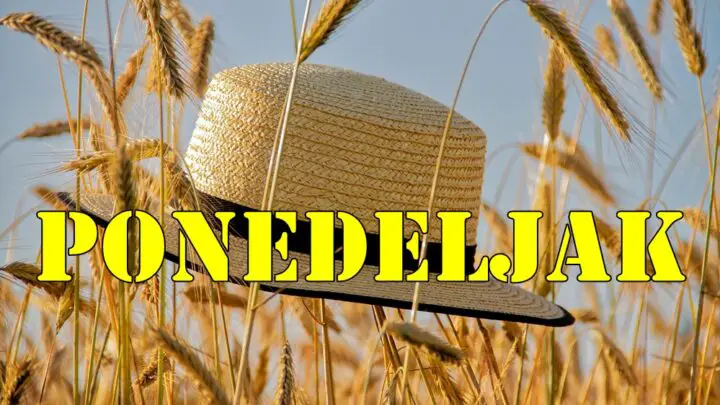 Ponedeljak je savršen za nove početke i planiranje narednih dana.