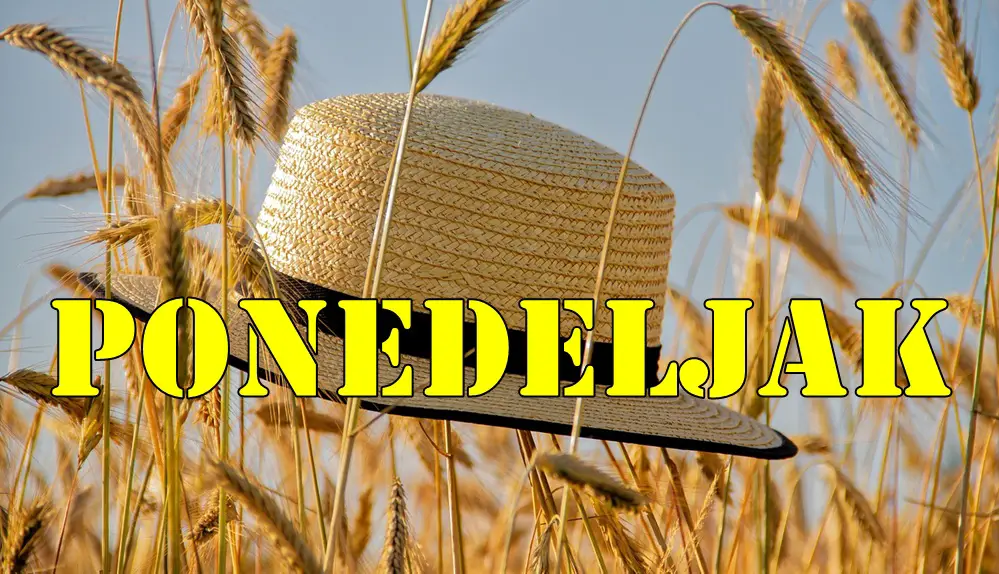 Ponedeljak je savršen za nove početke i planiranje narednih dana. Ponedeljak je savršen za nove početke i planiranje narednih dana.