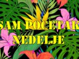 Sam pocetak nedelje  Bik se oseca stabilno dok vaga balansira izmedju drustvenih obaveza i osecaja.