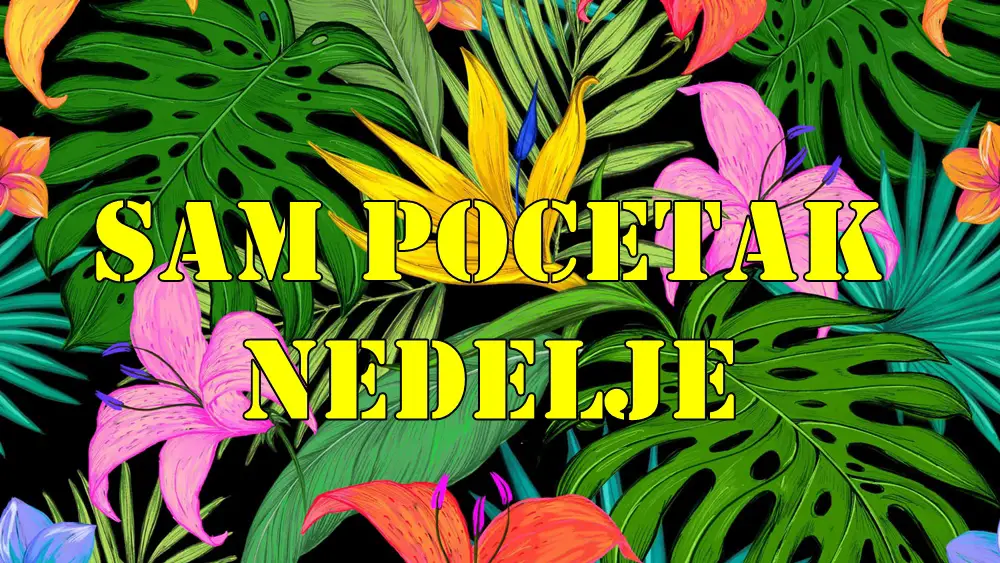 Sam pocetak nedelje Bik se oseca stabilno dok vaga balansira izmedju drustvenih obaveza i osecaja. Sam pocetak nedelje Bik se oseca stabilno dok vaga balansira izmedju drustvenih obaveza i osecaja.