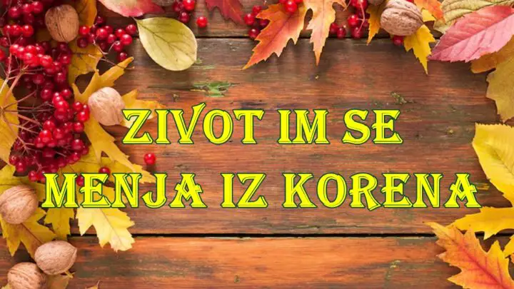 🍁 Jesen donosi promene iz korena – Ovan, Bik, Blizanci, Lav i Vaga