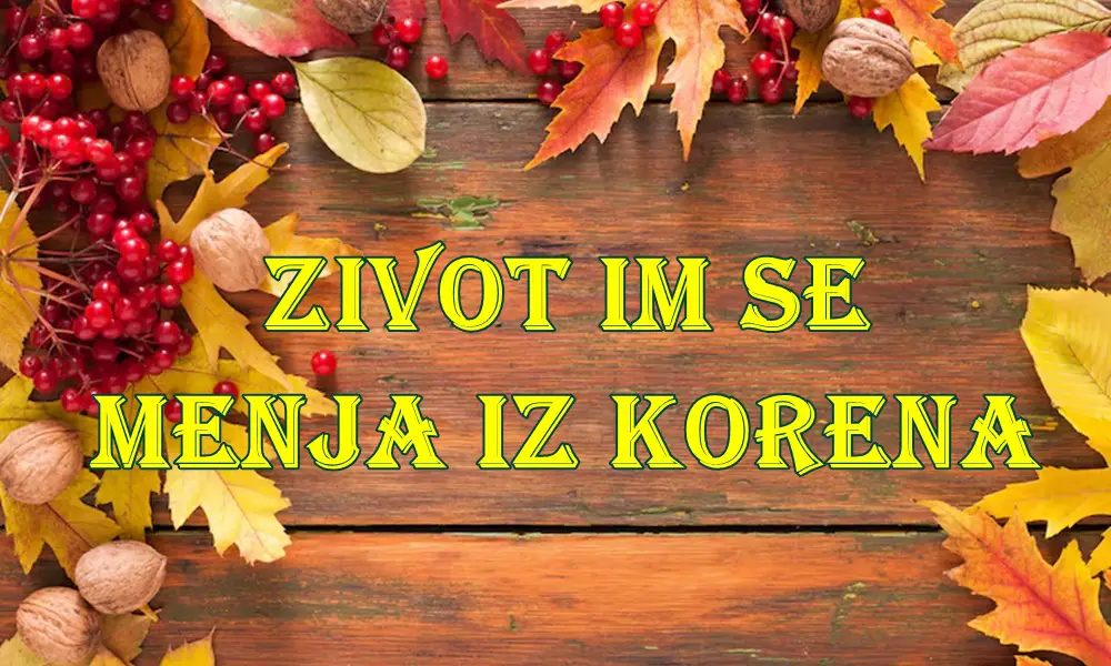 🍁 Jesen donosi promene iz korena – Ovan, Bik, Blizanci, Lav i Vaga