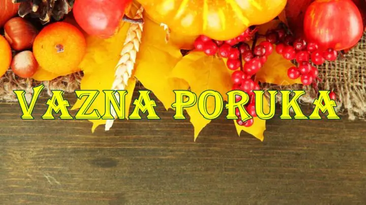Važna poruka koja menja život za Bika, Blizance i Vagu u 2025.