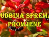 Sudbina je OVIM znakovima pripremila udar koji nitko ne može izbjeći!