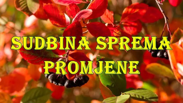 Sudbina je OVIM znakovima pripremila udar koji nitko ne može izbjeći!
