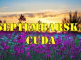 Septembarska cuda ocekuju ovih sest znaka zodijaka.