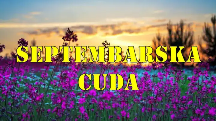 Septembarska cuda ocekuju ovih sest znaka zodijaka.