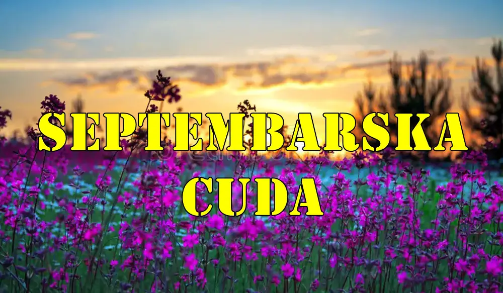 Septembarska cuda ocekuju ovih sest znaka zodijaka. Septembarska cuda ocekuju ovih sest znaka zodijaka.