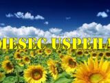 Septembar je mesec uspeha za ove znake zodijaka