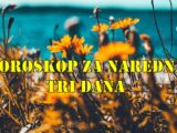 Ovnovi očekuje vas uzbudljiv period u ljubavi Devica vaša analitična priroda pomaže u razrešavanju nesporazuma a sta sledi  vama ?