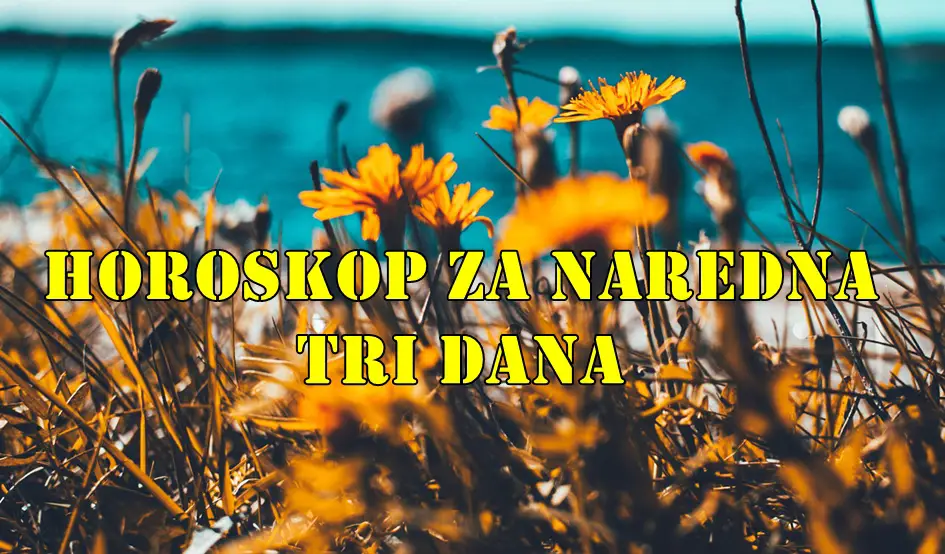 Ovnovi očekuje vas uzbudljiv period u ljubavi Devica vaša analitična priroda pomaže u razrešavanju nesporazuma a sta sledi  vama ?