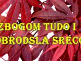 Zbogom tugo i dobrodosla sreco evo i za koje znake zodijaka.