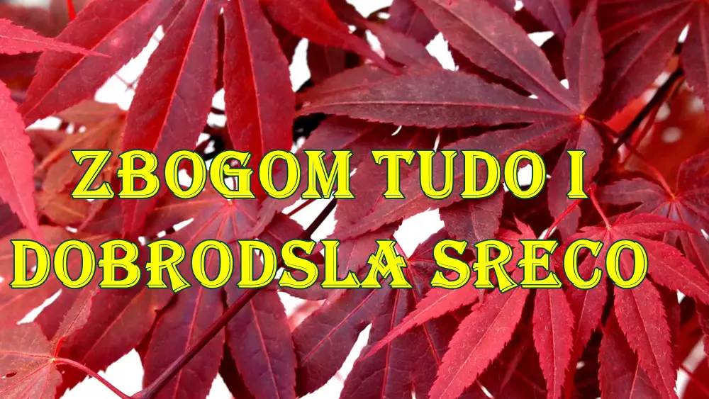 Zbogom tugo i dobrodosla sreco evo i za koje znake zodijaka.