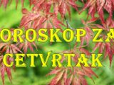 Horoskop za cetvrtak za sve znake zodijaka.