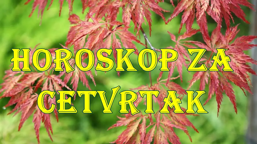 Horoskop za cetvrtak za sve znake zodijaka.